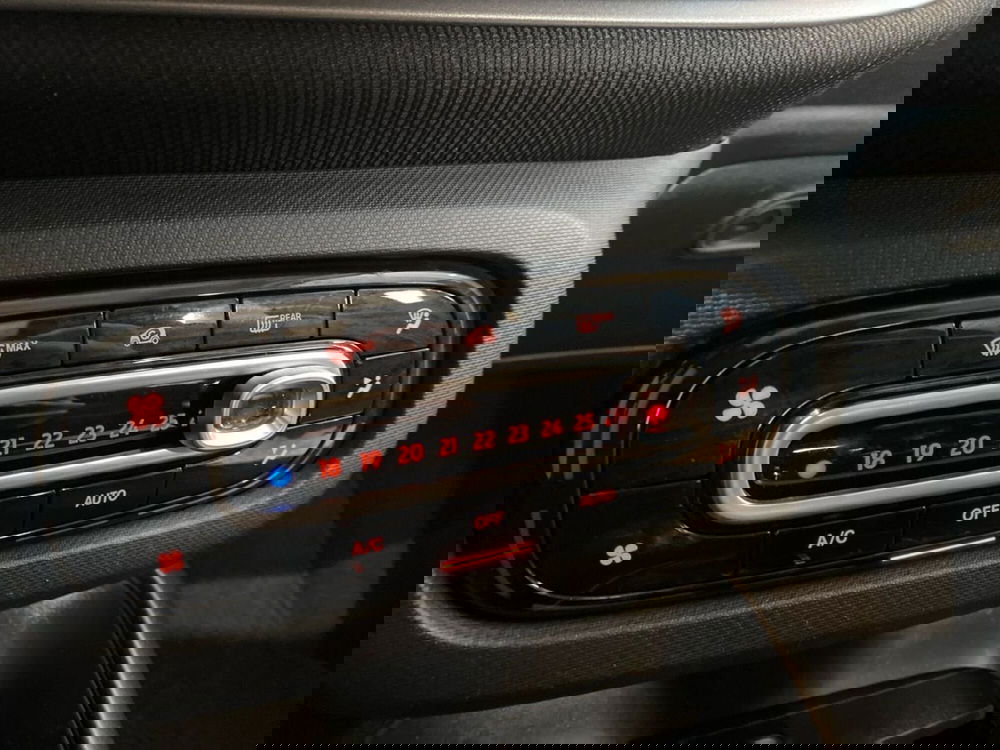 smart forfour usata a Firenze (15)