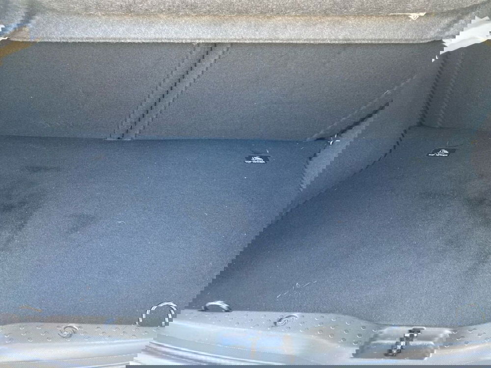 smart forfour usata a Firenze (8)