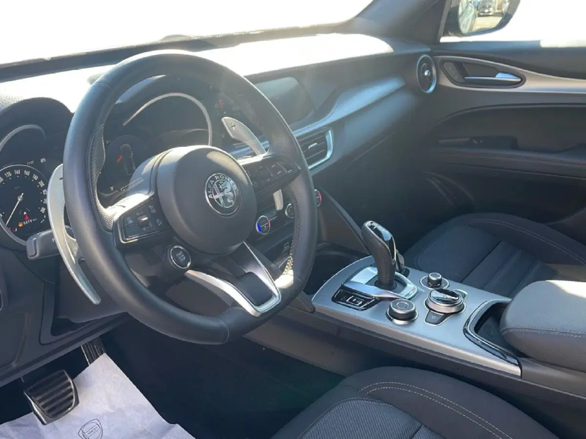 Alfa Romeo Stelvio usata a Frosinone (11)