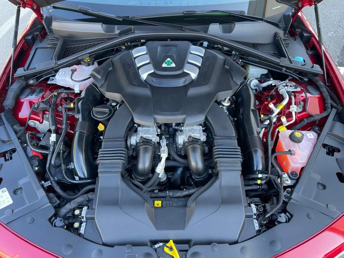 Alfa Romeo Giulia nuova a Ancona (11)