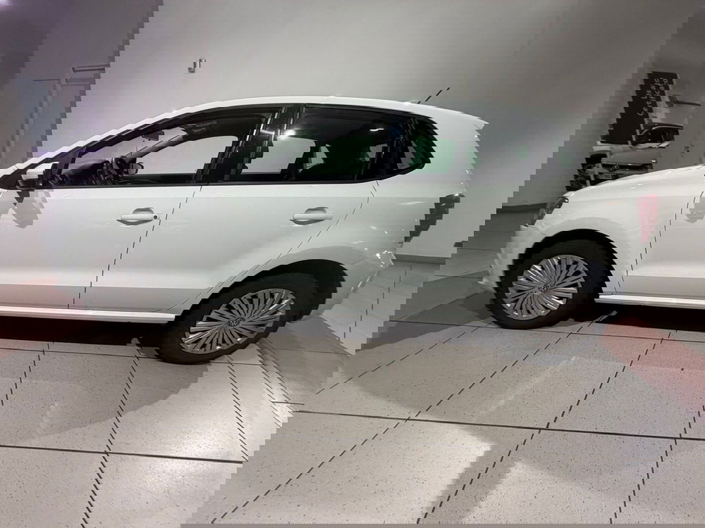Volkswagen Polo usata a Genova (2)