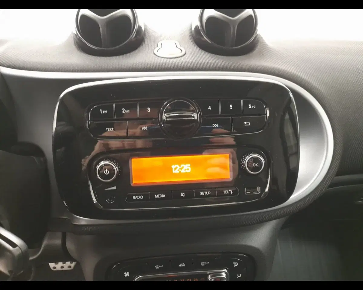 smart Fortwo usata a Alessandria (13)