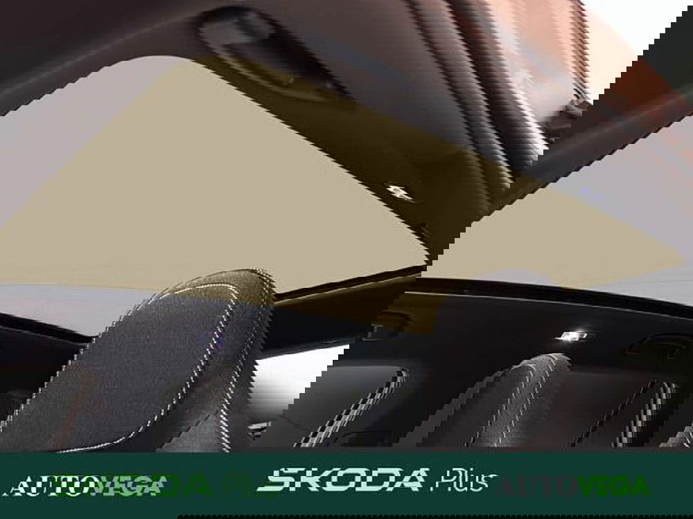 Skoda Kamiq usata a Vicenza (18)