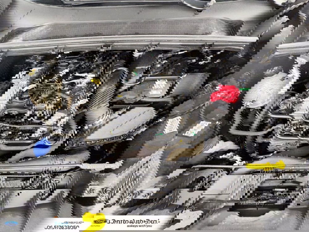 Ford Puma usata a Roma (12)