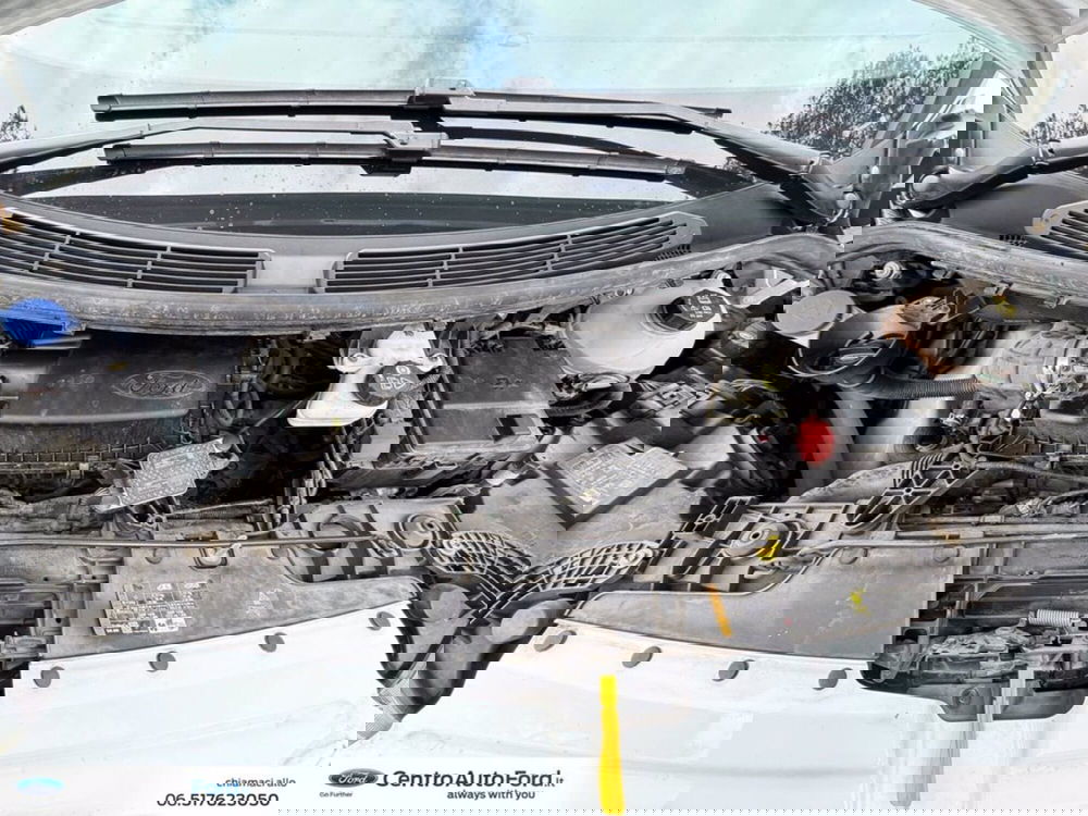 Ford Transit Custom Furgone usata a Roma (11)