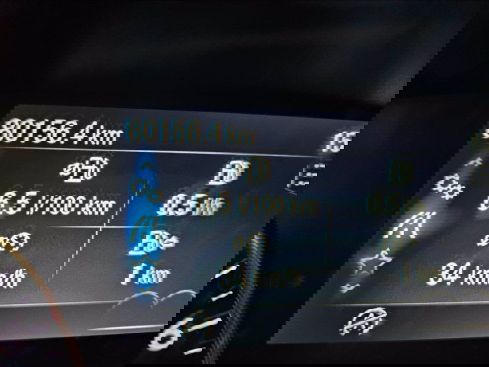 Ford EcoSport usata a Palermo (13)