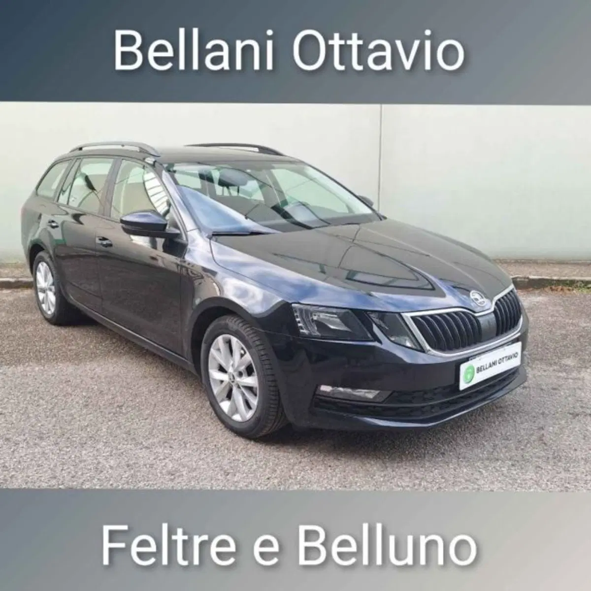 Skoda Octavia Station Wagon usata a Belluno