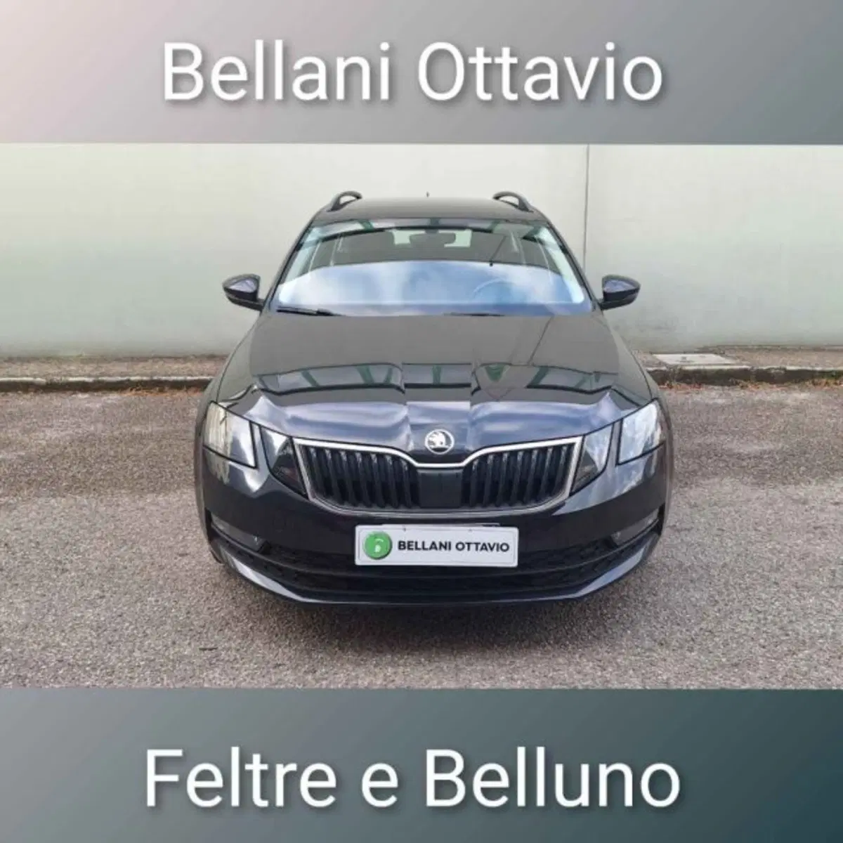 Skoda Octavia Station Wagon usata a Belluno (2)