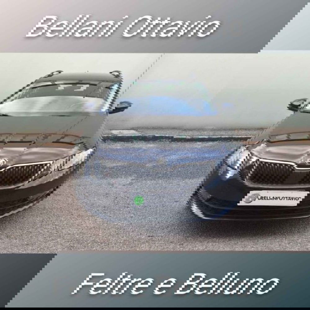Skoda Octavia Station Wagon usata a Belluno (2)