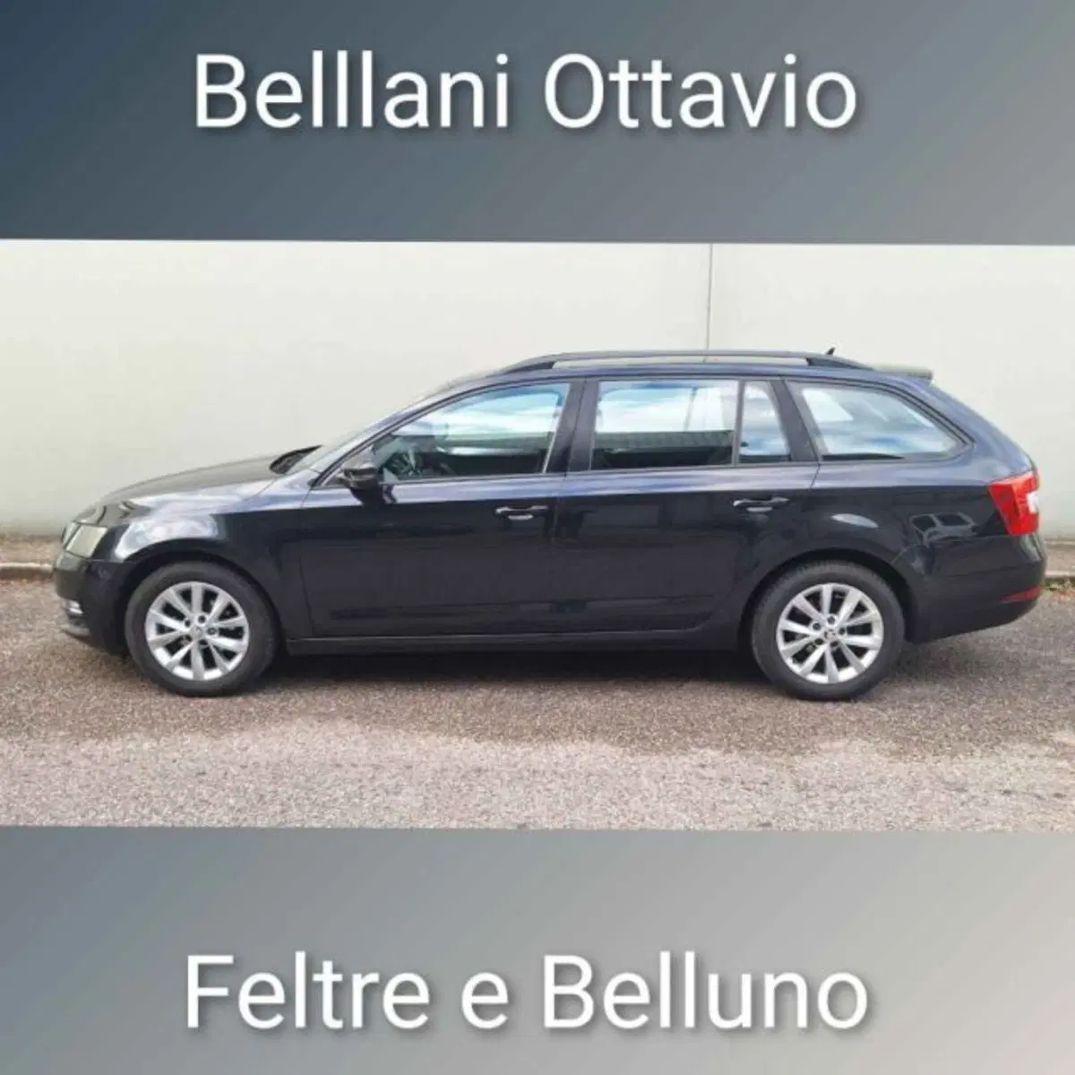 Skoda Octavia Station Wagon usata a Belluno (4)
