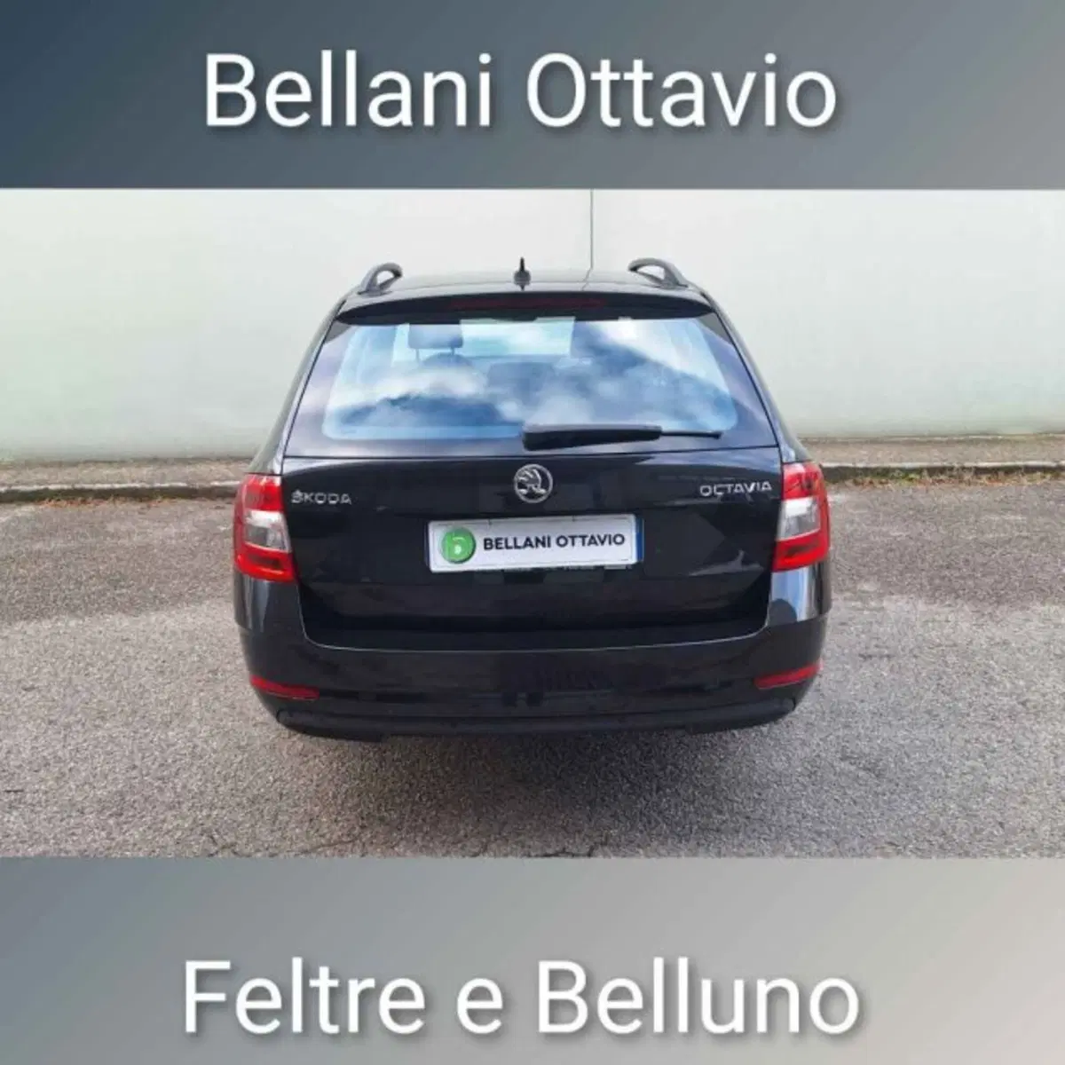 Skoda Octavia Station Wagon usata a Belluno (5)