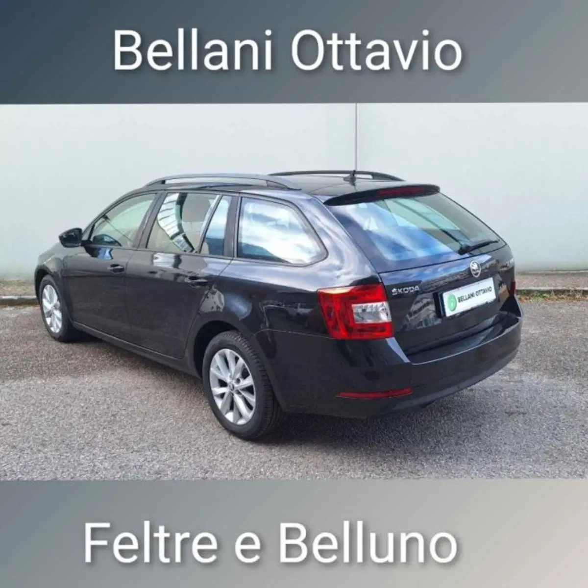 Skoda Octavia Station Wagon usata a Belluno (6)