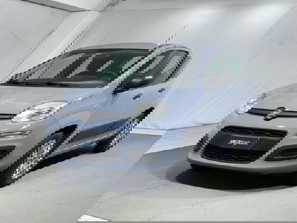 Fiat Panda usata a Sondrio