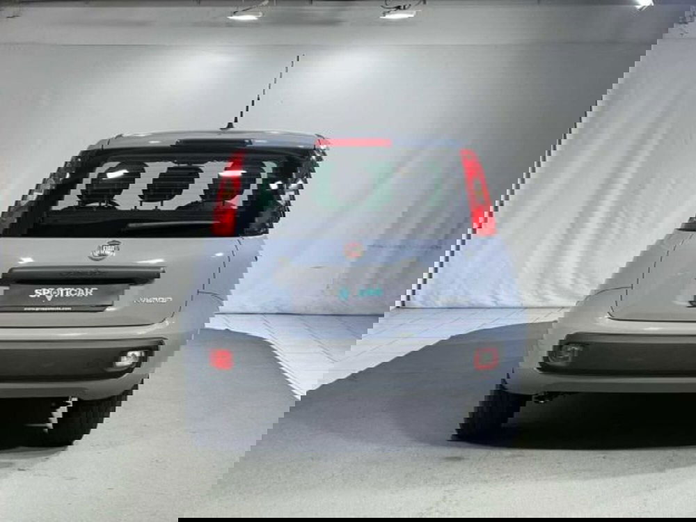 Fiat Panda usata a Sondrio (4)