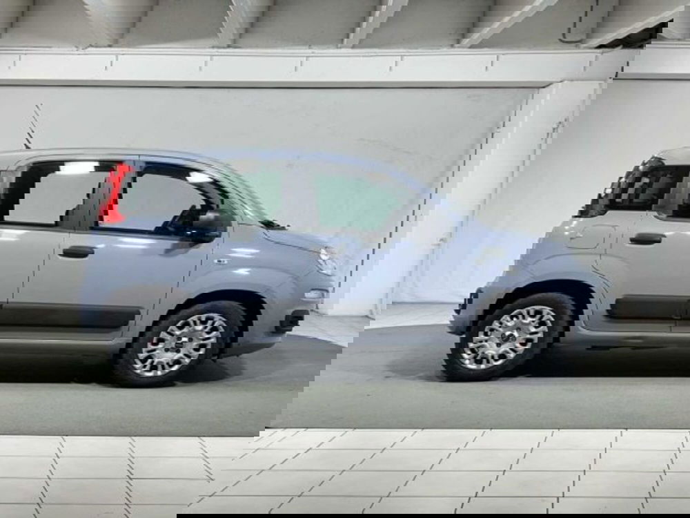 Fiat Panda usata a Sondrio (6)