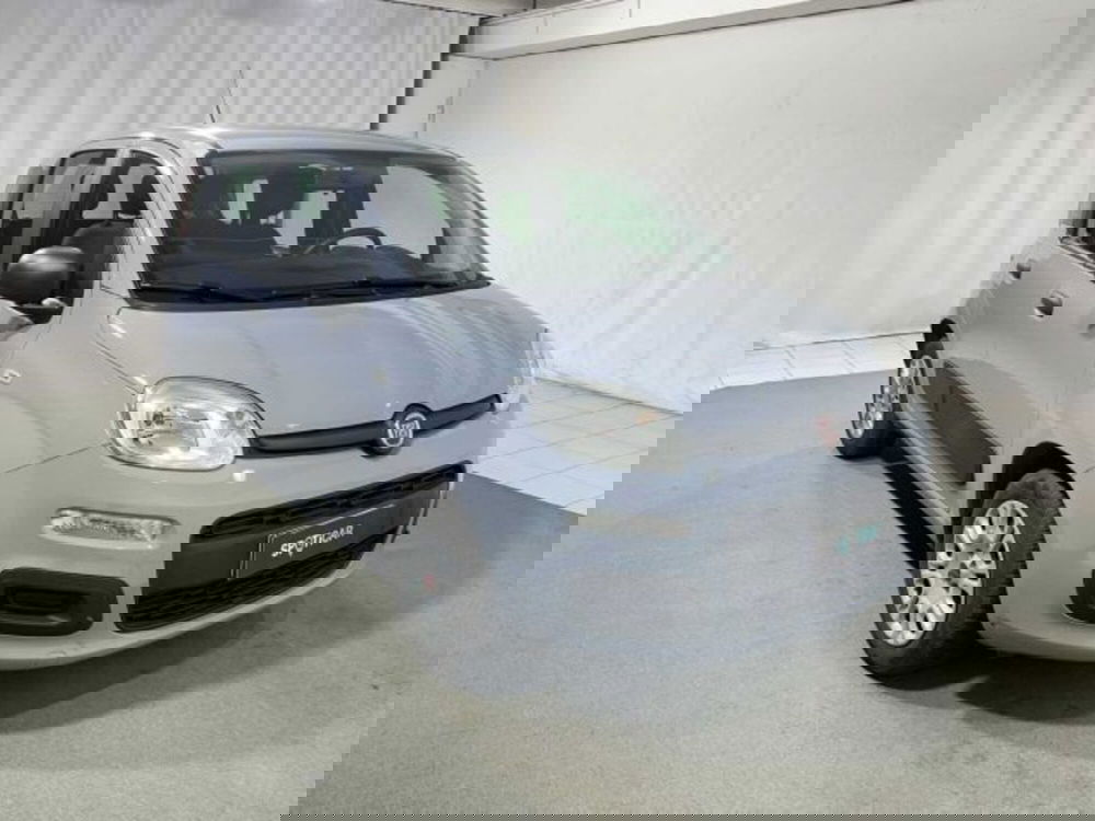 Fiat Panda usata a Sondrio (7)