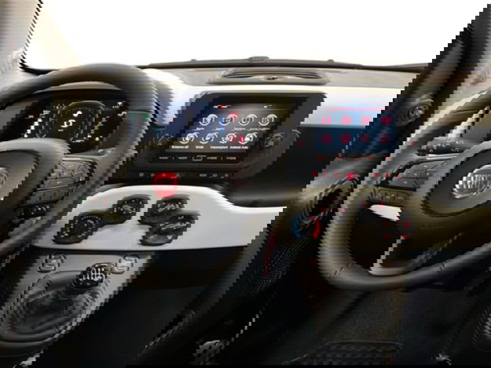 Fiat Panda Cross usata a Vercelli (13)