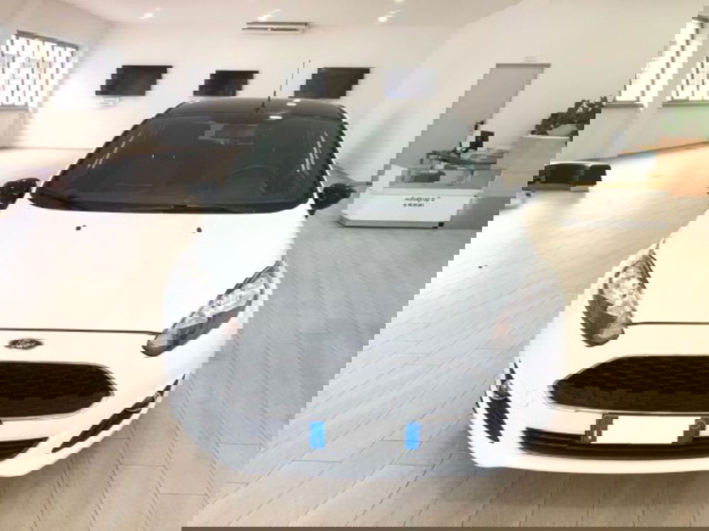 Ford Fiesta usata a Torino (2)