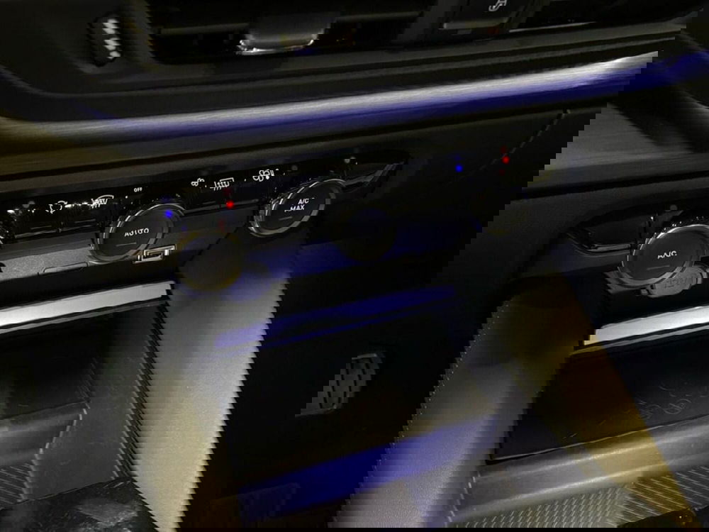 Citroen C5 X usata a Torino (11)