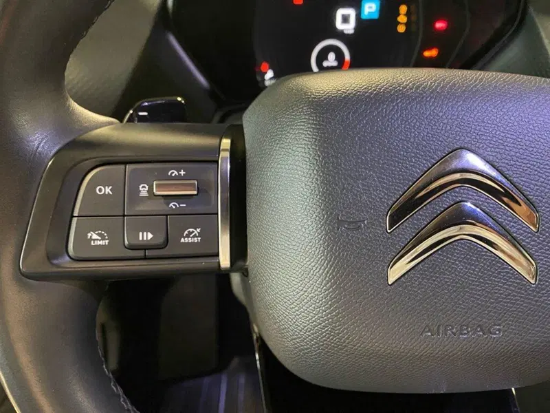 Citroen C5 X usata a Torino (13)