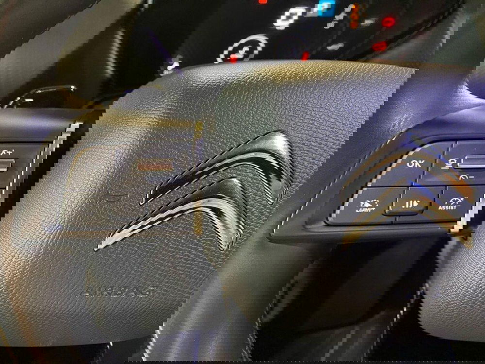 Citroen C5 X usata a Torino (13)