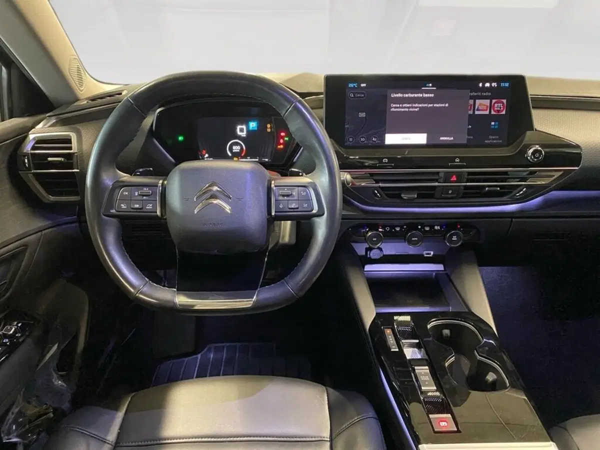 Citroen C5 X usata a Torino (6)