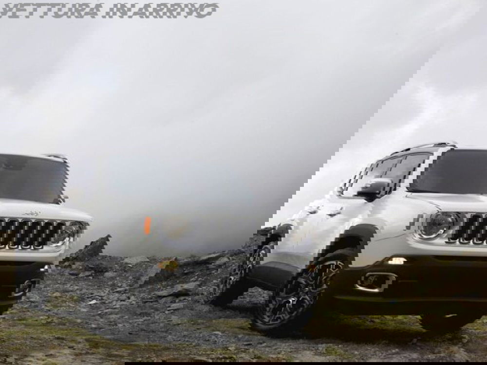 Jeep Renegade usata a Modena