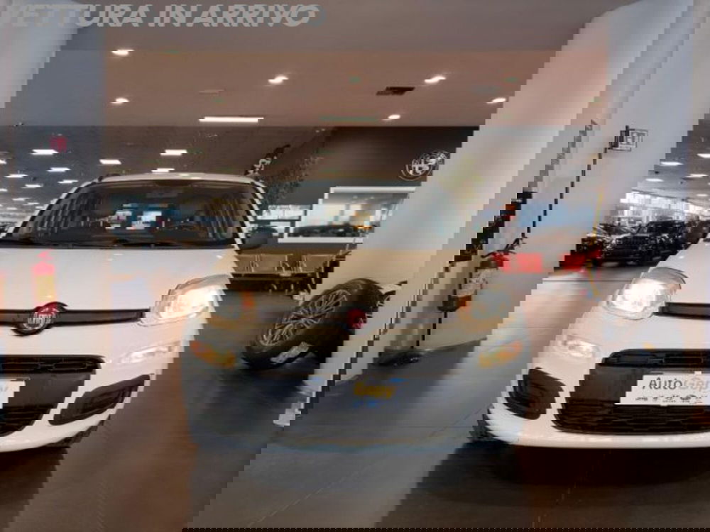 Fiat Panda usata a Modena