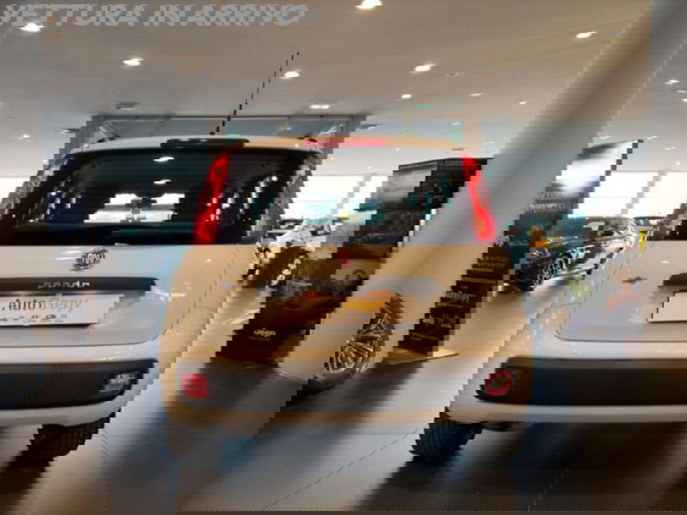 Fiat Panda usata a Modena (5)