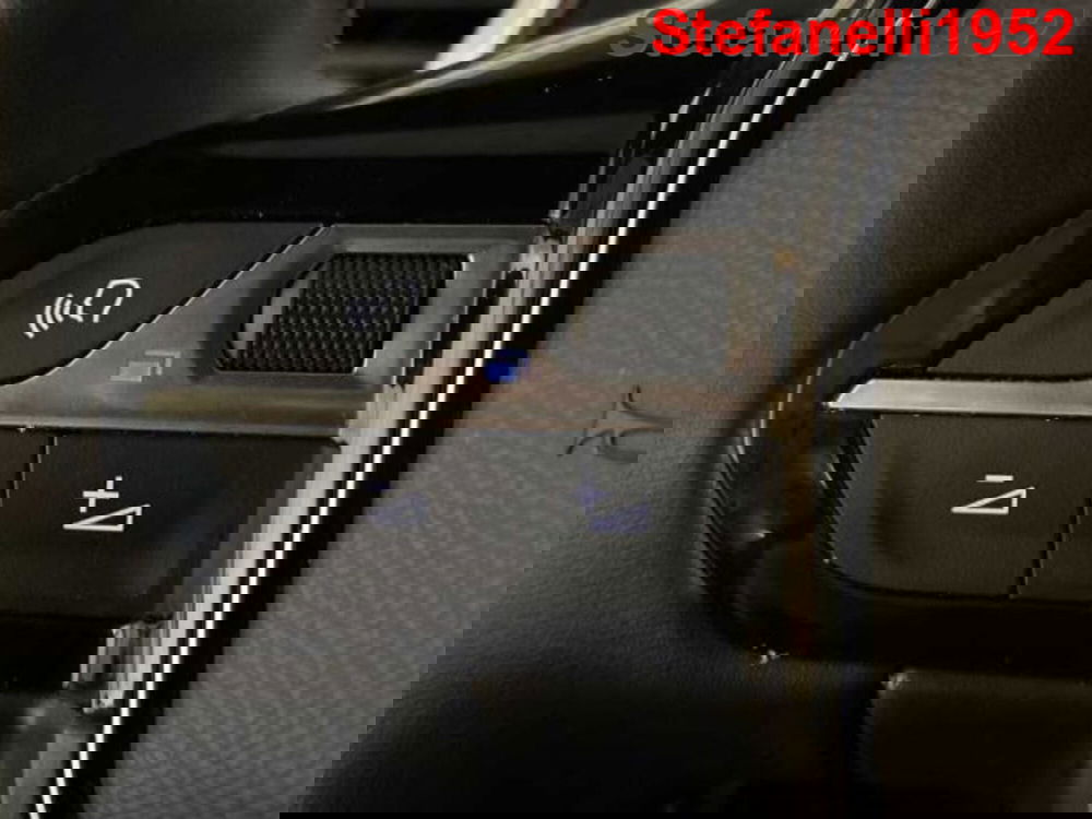 Peugeot 5008 usata a Bologna (20)