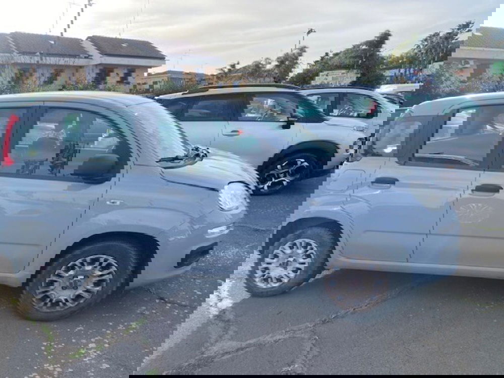 Fiat Panda usata a Catania (6)