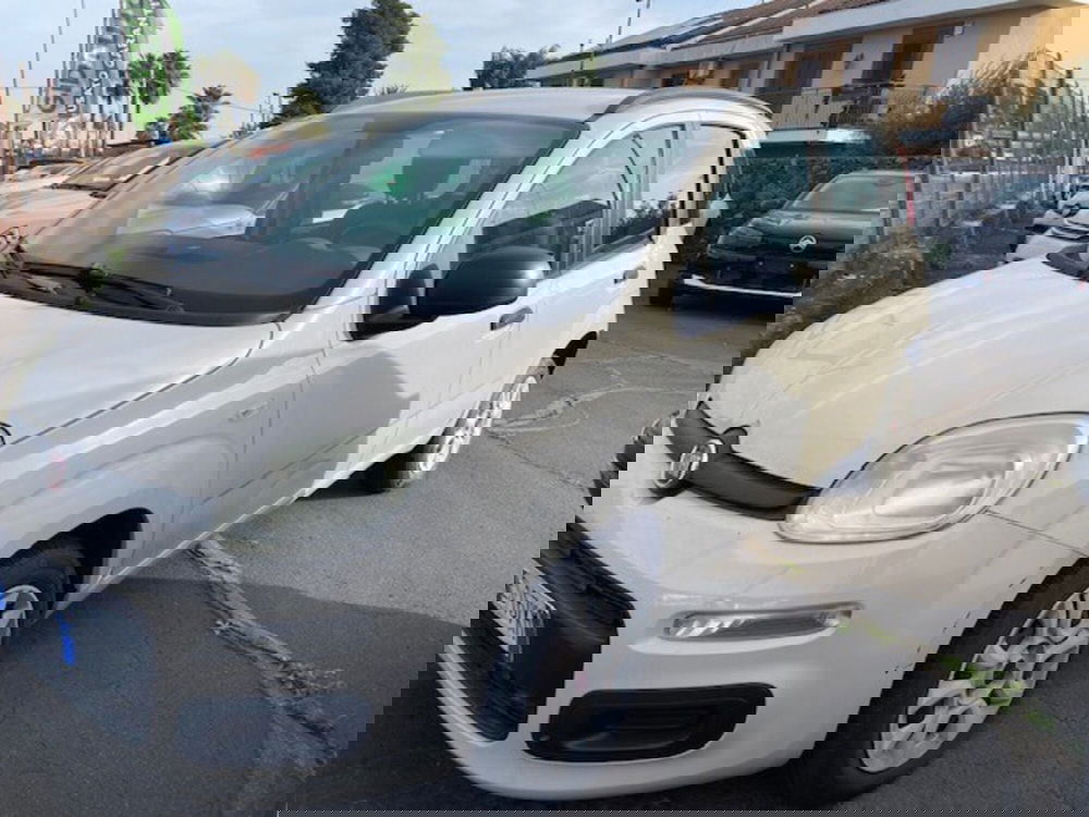 Fiat Panda usata a Catania