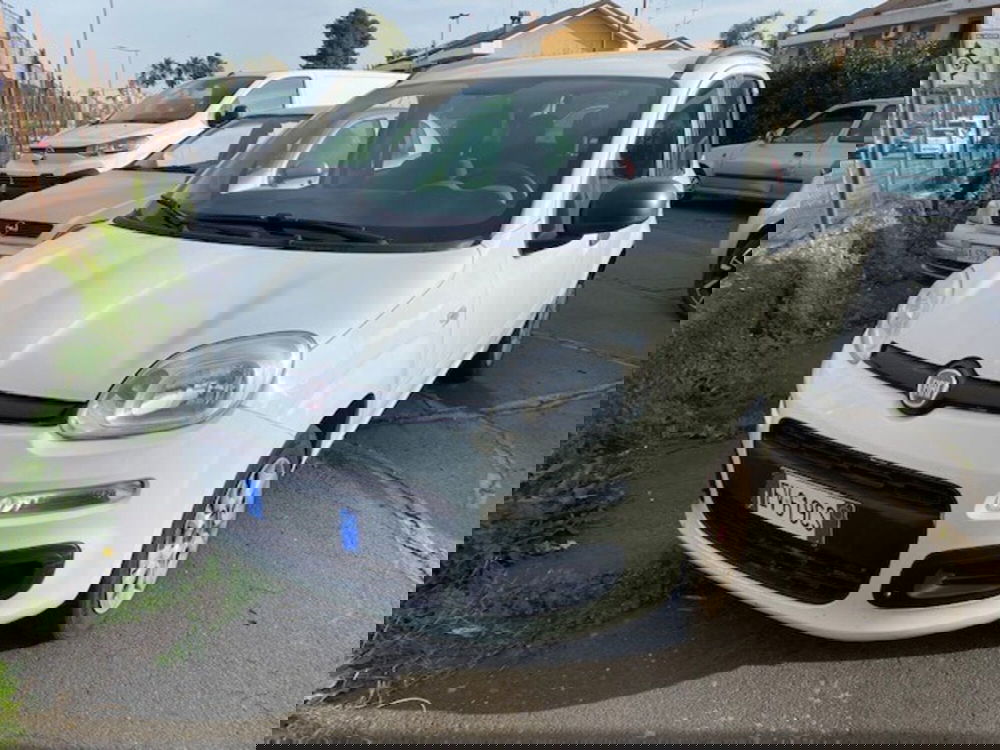 Fiat Panda usata a Catania