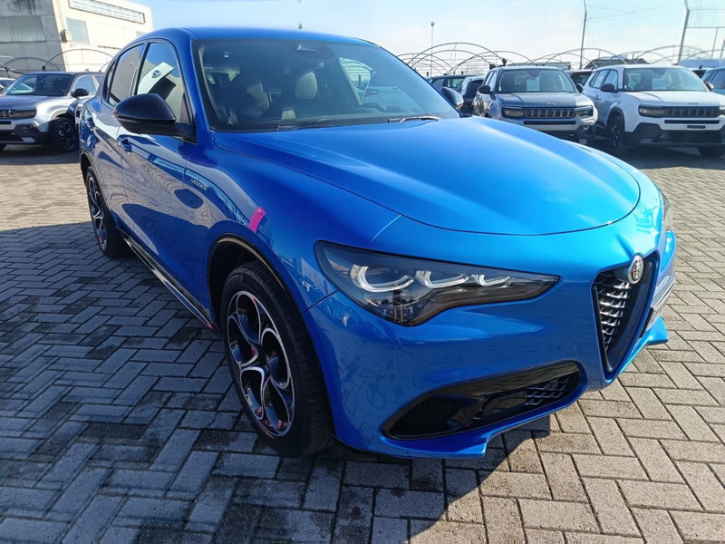 Alfa Romeo Stelvio usata a Alessandria (3)