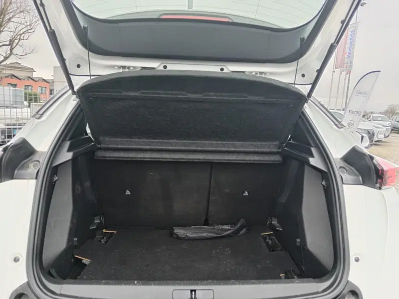 Peugeot 2008 usata a Alessandria (6)