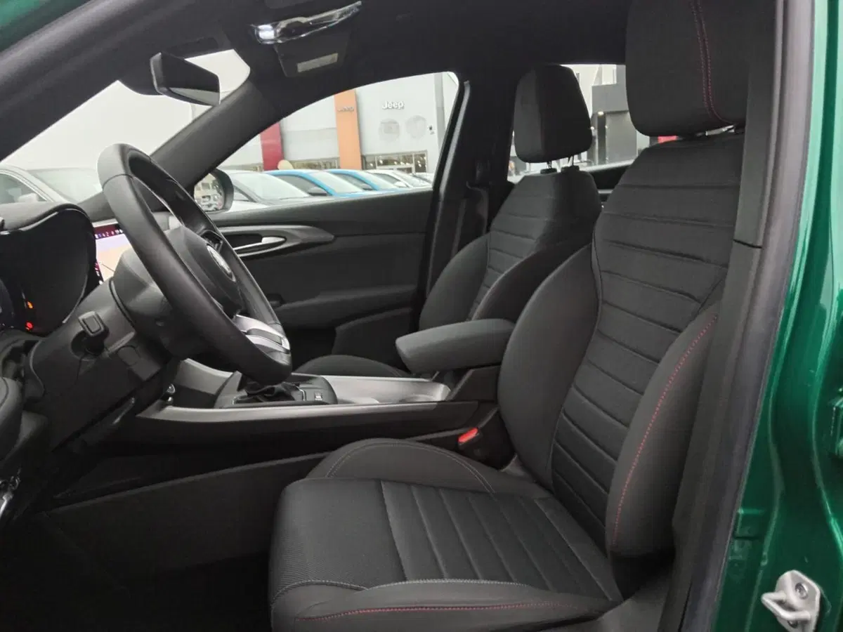 Alfa Romeo Tonale usata a Alessandria (12)