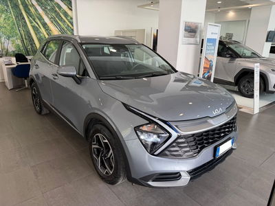 Kia Sportage 1.6 CRDi MHEV Business del 2023 usata a Castellammare di Stabia