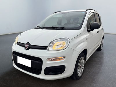 Fiat Panda 1.2 Pop del 2014 usata a Modena