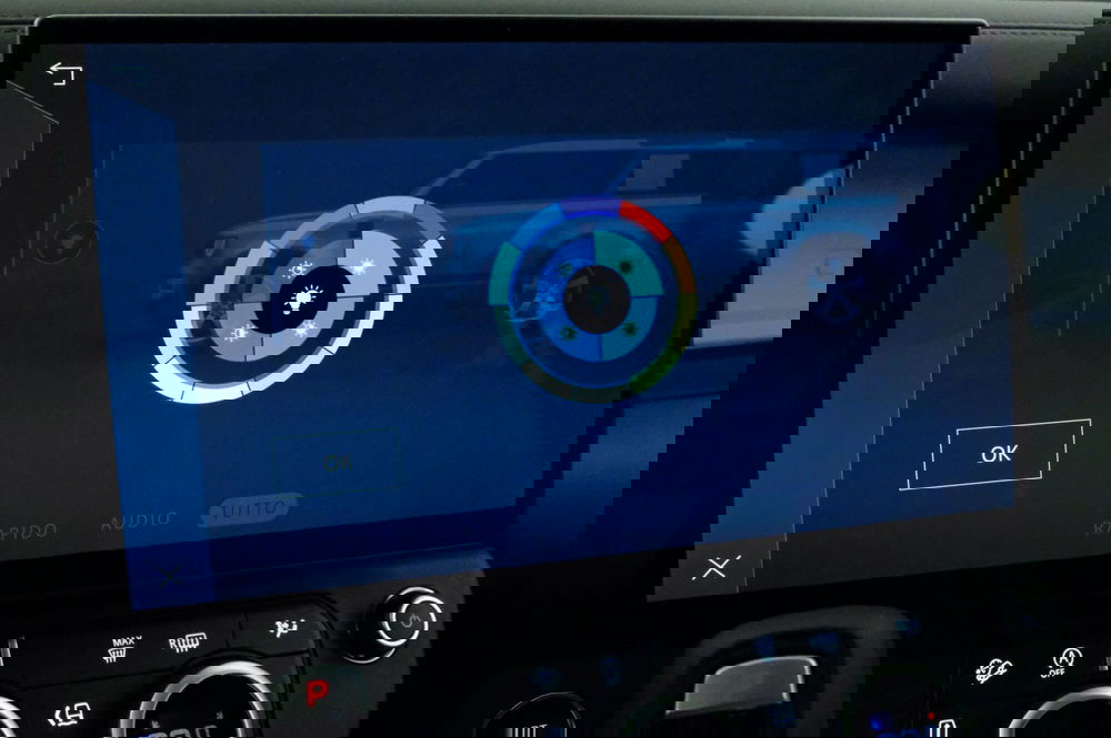 Land Rover Defender usata a Mantova (20)