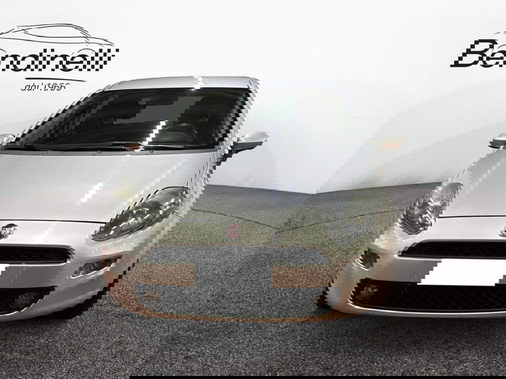 Fiat Punto usata a Verona (2)