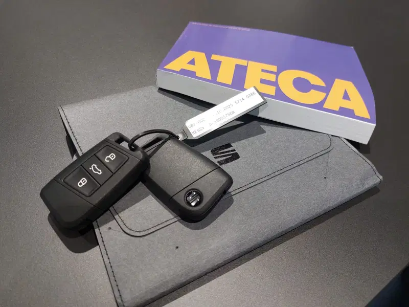 SEAT Ateca nuova a Frosinone (14)