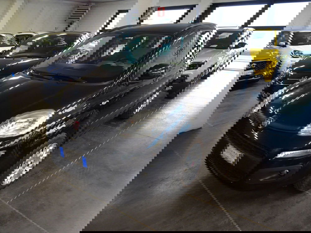 Fiat Panda usata a Lucca