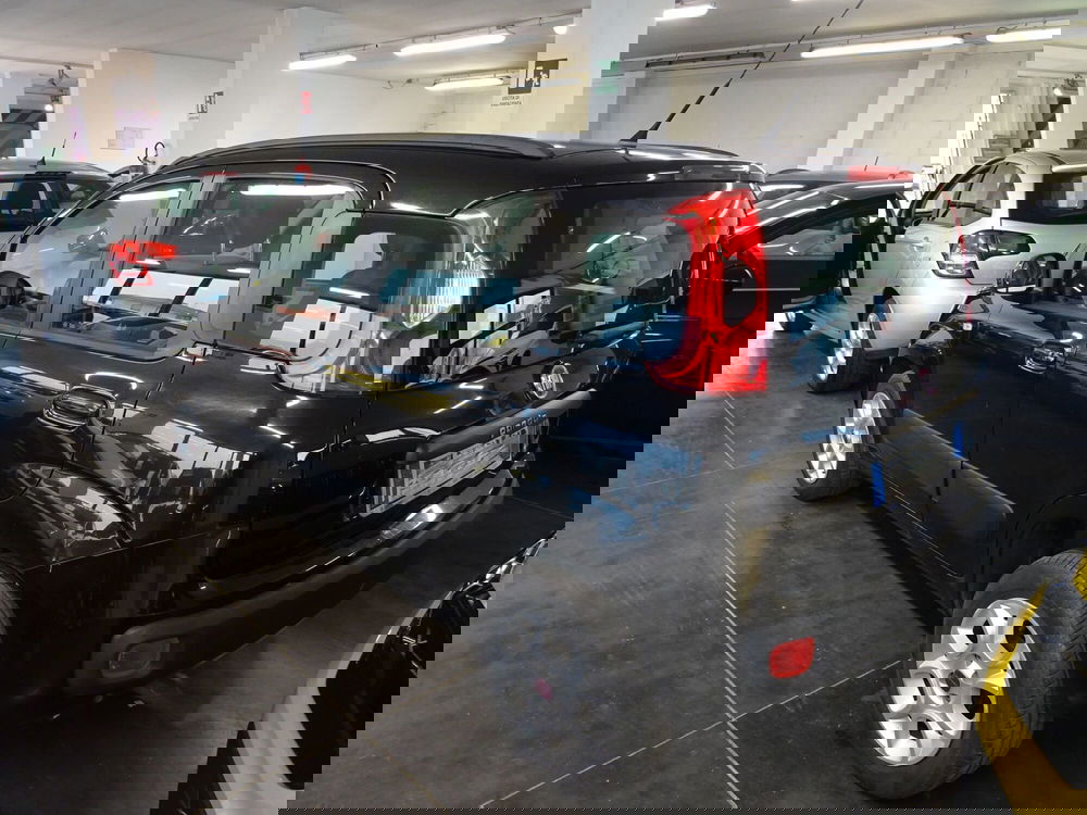 Fiat Panda usata a Lucca (3)