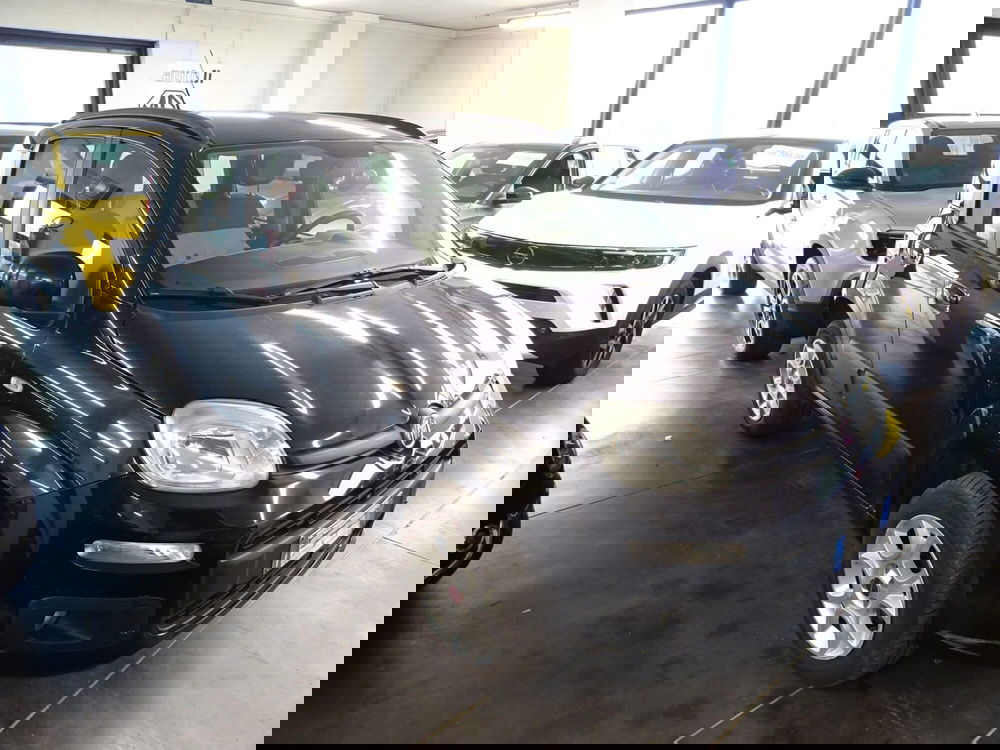 Fiat Panda usata a Lucca (5)