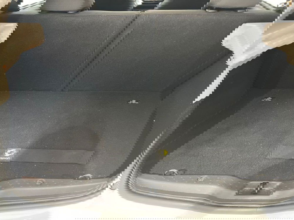 smart forfour usata a Napoli (10)