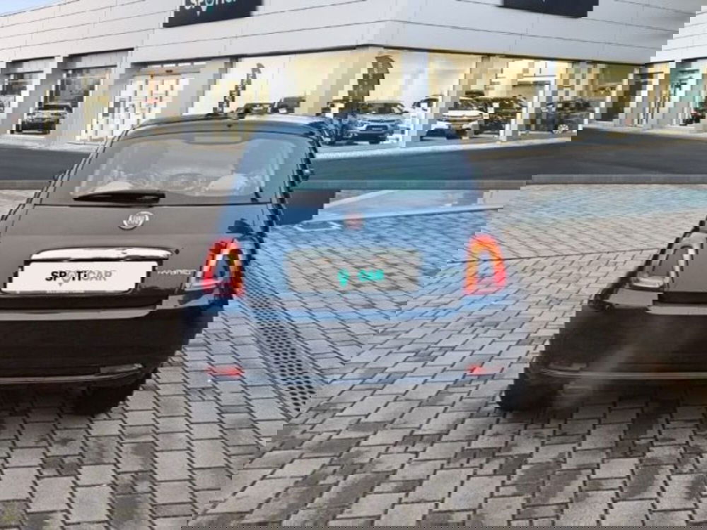 Fiat 500 usata a Monza e Brianza (5)