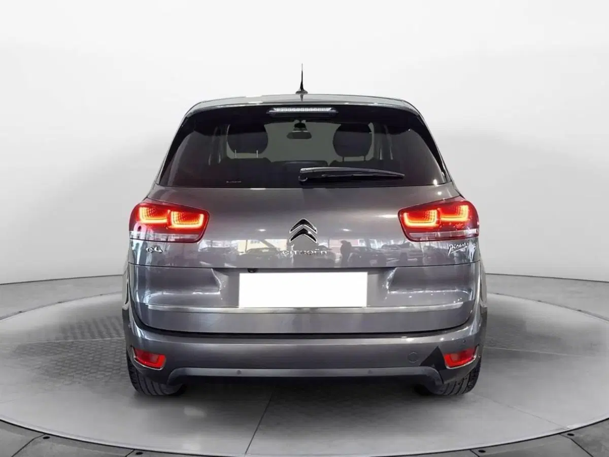 Citroen C4 Picasso usata a Torino (5)