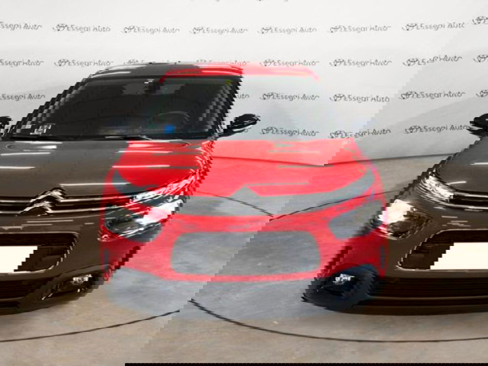 Citroen C4 Cactus usata a Vercelli (2)