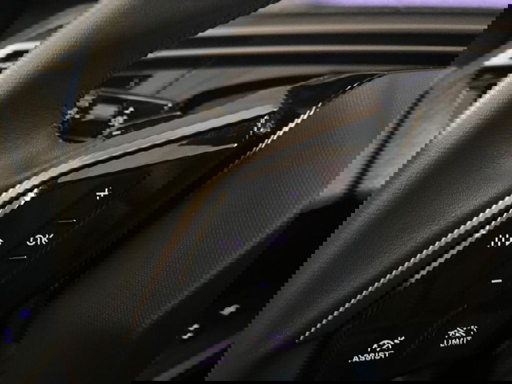 Peugeot 3008 usata a Torino (11)