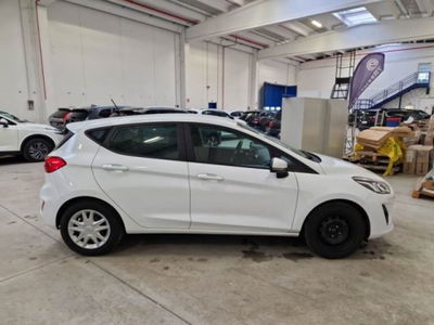 Ford Fiesta 1.5 EcoBlue 5 porte Plus del 2019 usata a Belpasso
